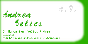 andrea velics business card